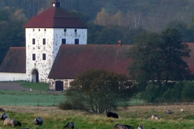 HOVDALA SLOTT