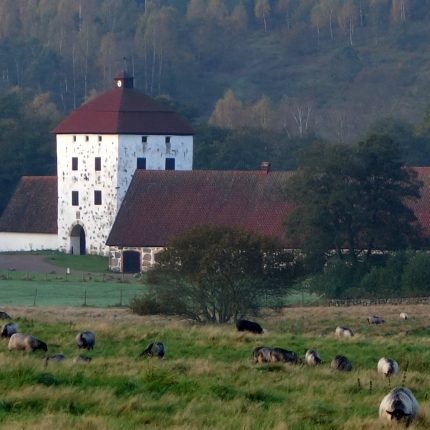 HOVDALA SLOTT